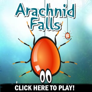 Arachnid Falls - Gioco Azione 